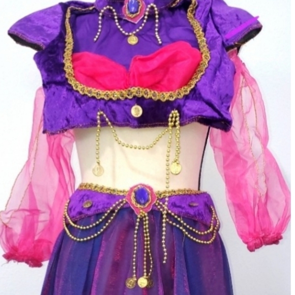 Princess Jasmine Halloween Costume - Picture 10 of 10